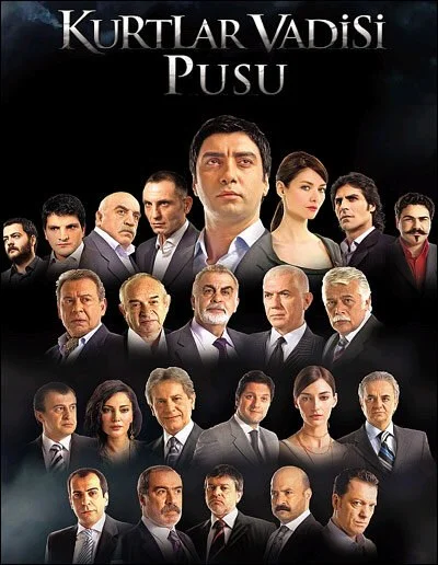 Долина волков: Западня - постер сериала